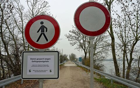 Wegsperre für Spaziergänger nach Vogelgrippe-Verdacht