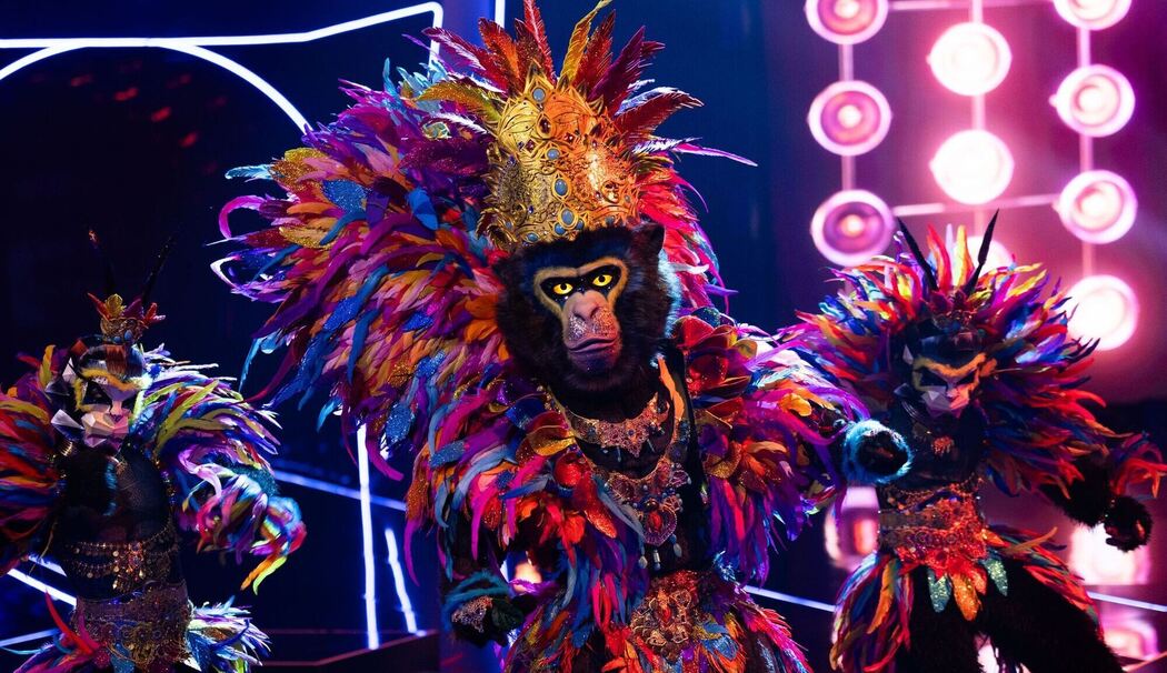 „The Masked Singer“