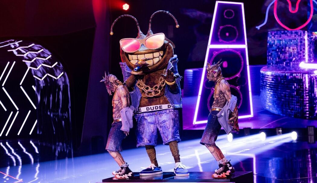 „The Masked Singer“