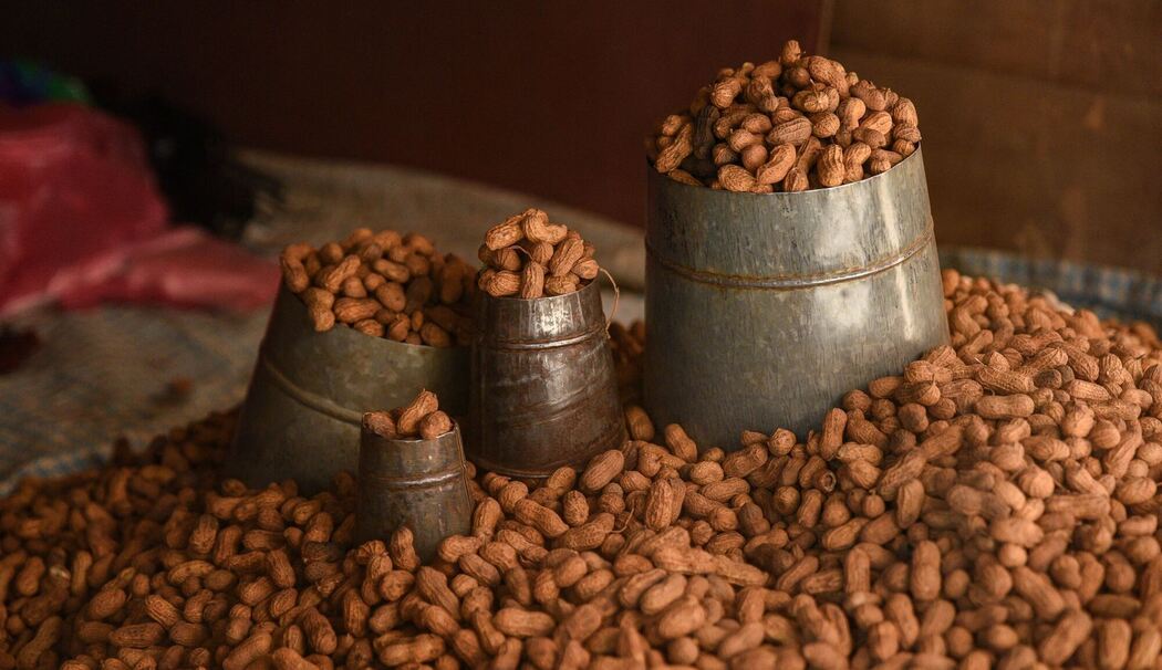 Geröstete Erdnüsse Geröstete Erdnüsse