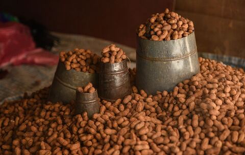 Geröstete Erdnüsse