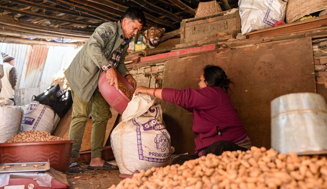 Geröstete Erdnüsse Geröstete Erdnüsse