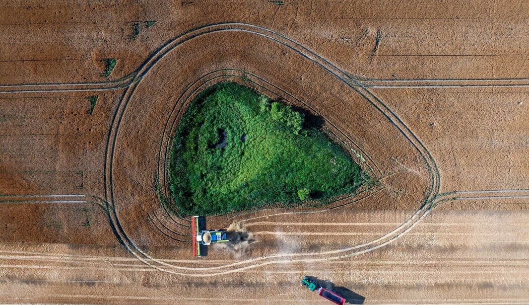 Getreideernte Getreideernte