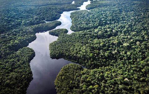 Klimaforschungszentrum im Amazonas