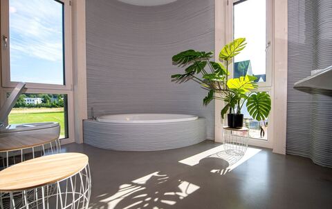 Eine Zimmerpflanze im Badezimmer