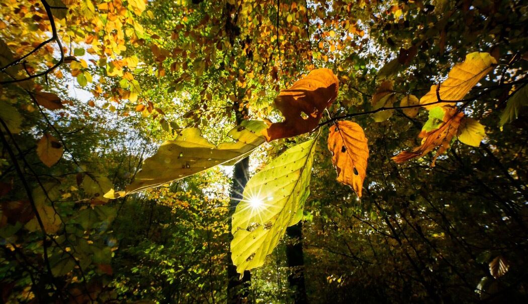 Sonniges Wetter in Niedersachsen Sonniges Wetter in Niedersachsen