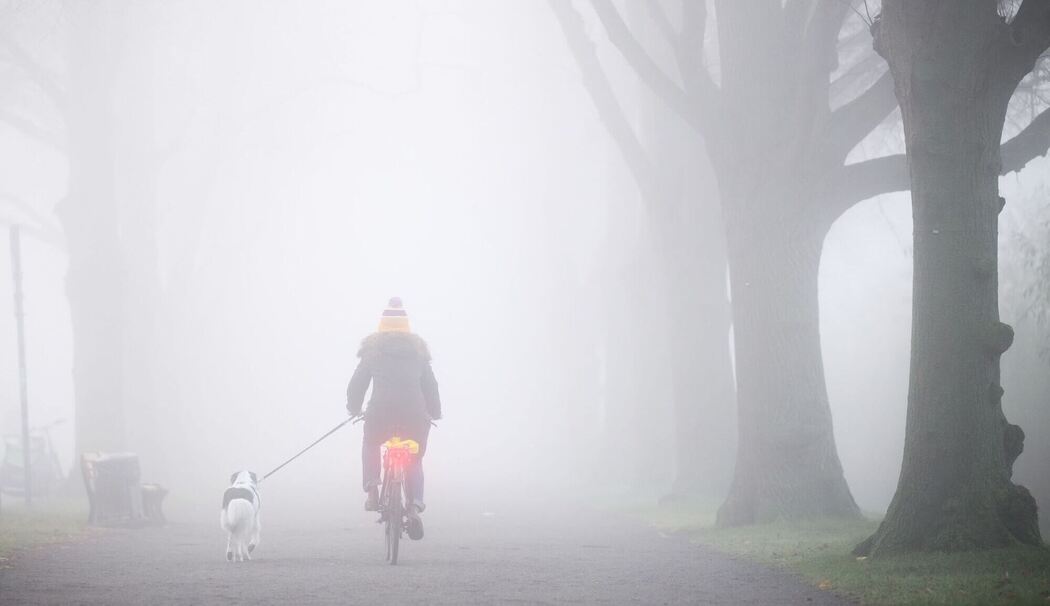 Herbst in Niedersachsen Herbst in Niedersachsen
