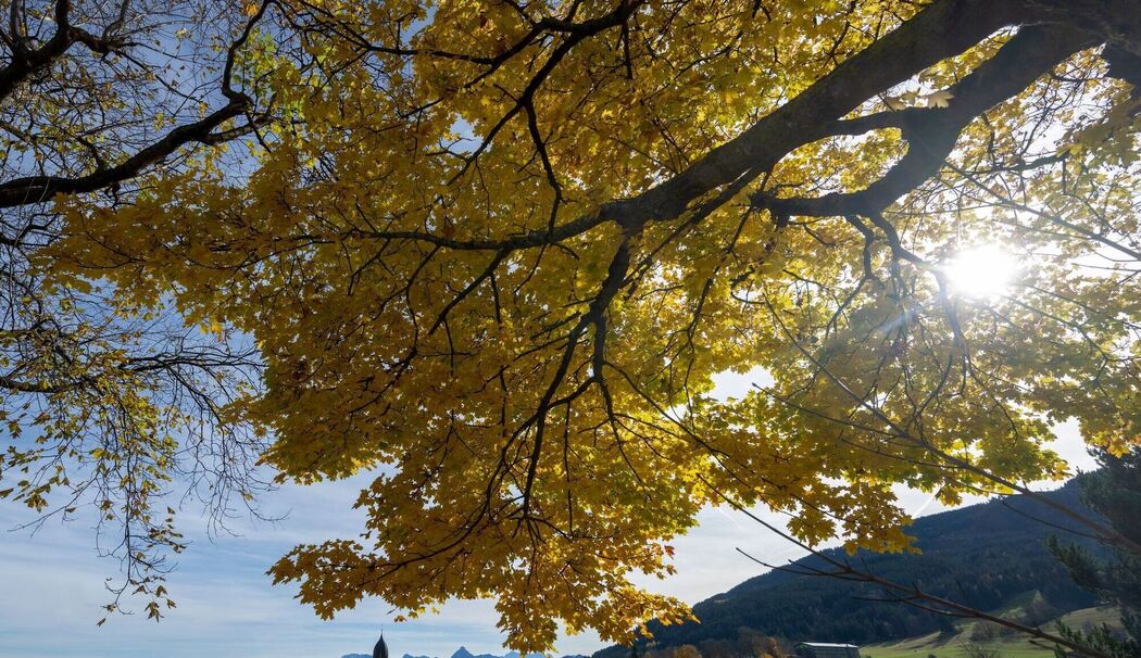 Herbstwetter in Bayern