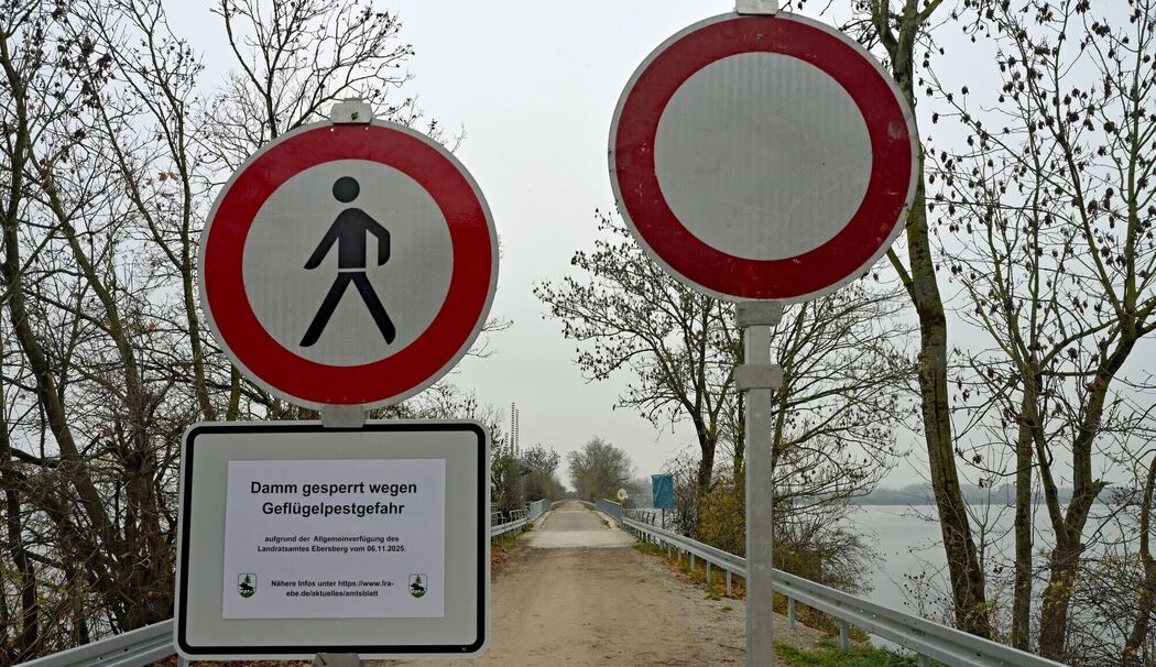 Wegsperre für Spaziergänger nach Vogelgrippe-Verdacht Wegsperre für Spaziergänger nach Vogelgrippe-Verdacht