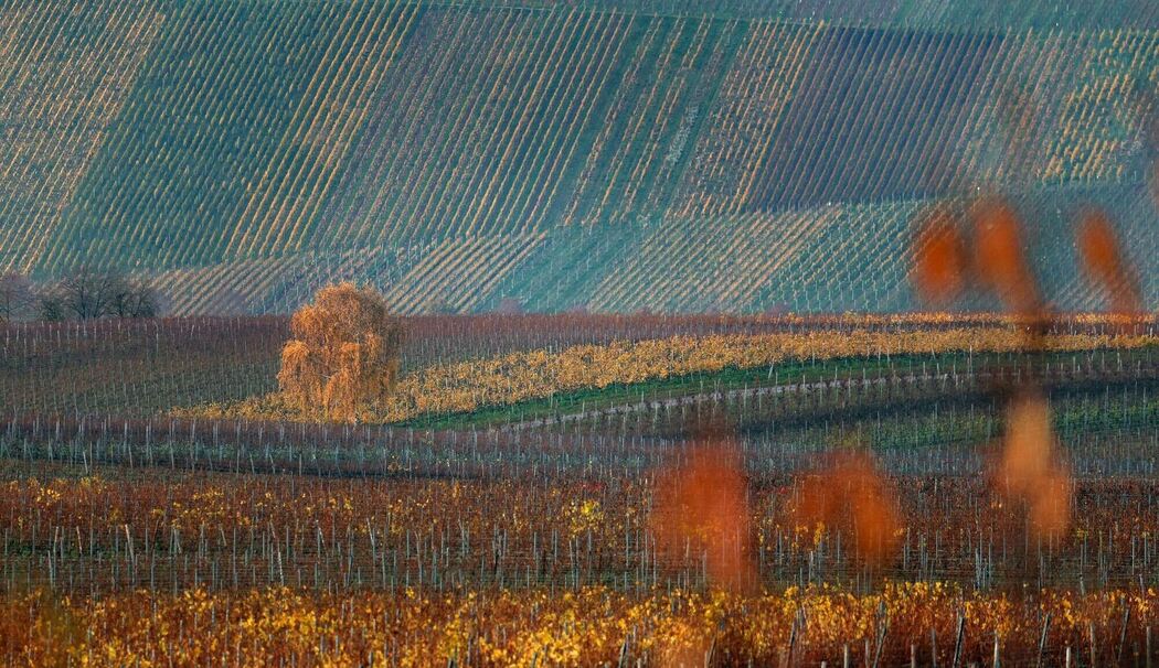 Herbst in Unterfranken