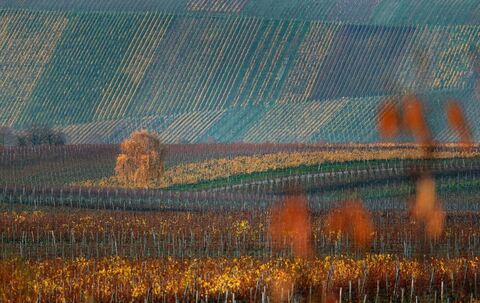 Herbst in Unterfranken