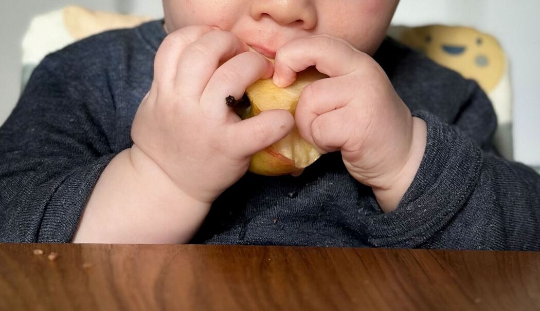 Ein sieben Monate altes Babz isst einen Apfel