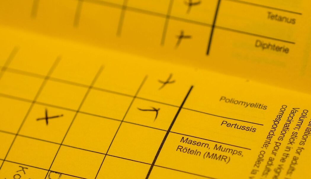 Impfausweis Impfausweis