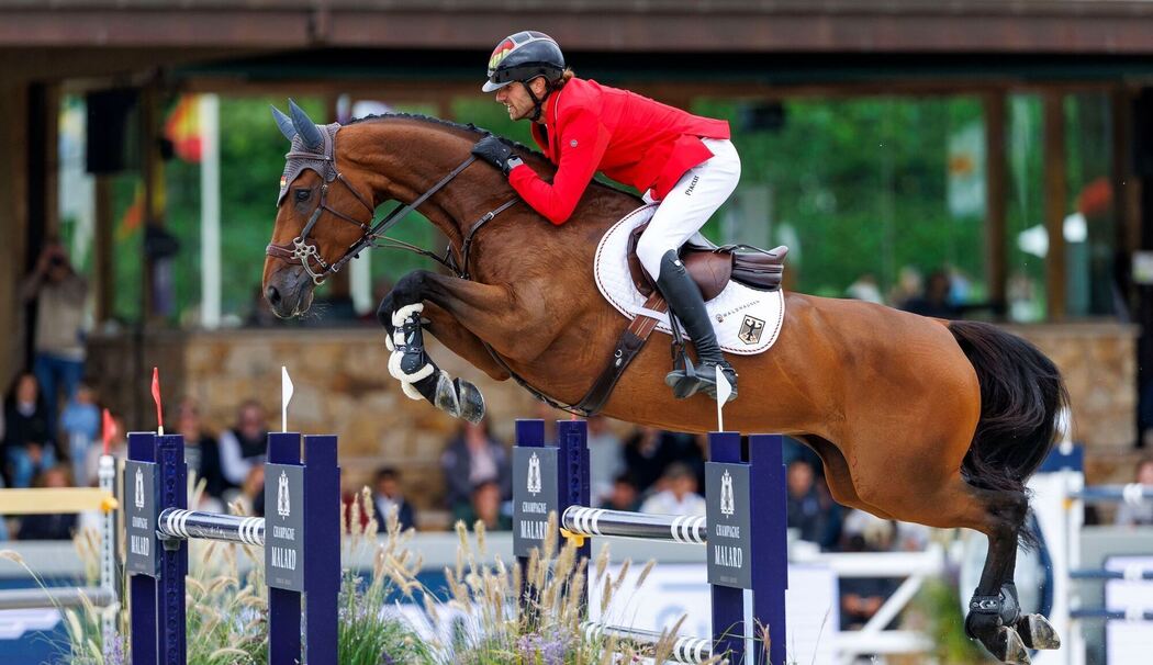 Pferdesport/Springen: Europameisterschaft