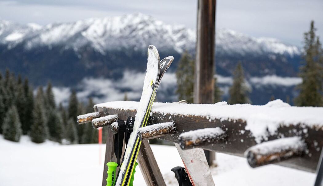 Ski mit Skistöcken mit Bergpanorama