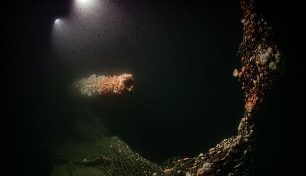 Von deutschem U-Boot versenkt: Forscher tauchen zu Wrack Von deutschem U-Boot versenkt: Forscher tauchen zu Wrack