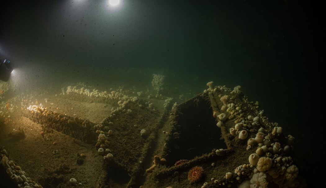 Von deutschem U-Boot versenkt: Forscher tauchen zu Wrack Von deutschem U-Boot versenkt: Forscher tauchen zu Wrack