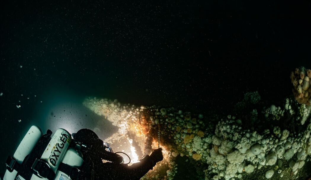 Von deutschem U-Boot versenkt: Forscher tauchen zu Wrack Von deutschem U-Boot versenkt: Forscher tauchen zu Wrack