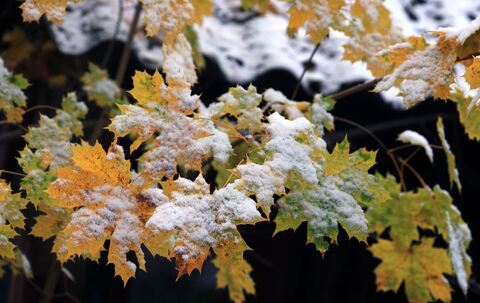 Schnee im Voralpenland