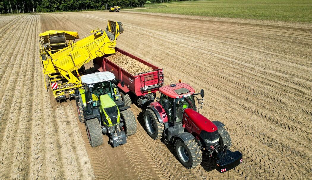 Kartoffelernte Kartoffelernte