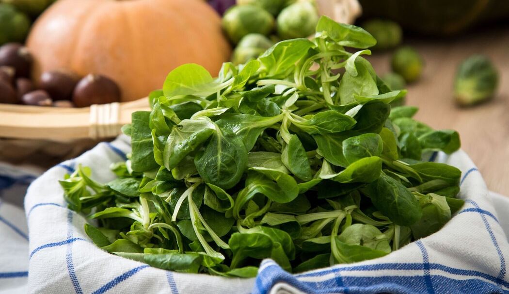 Feldsalat liegt in einer Schüssel