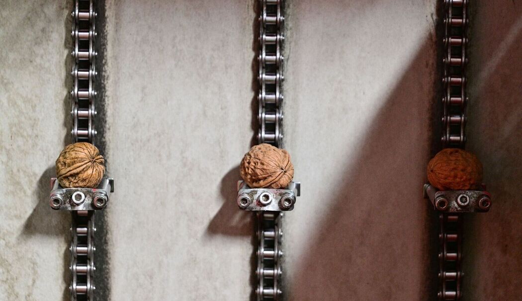 Walnussmeisterei Böllersen