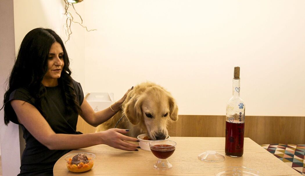 Hunde-Café in Beirut Hunde-Café in Beirut