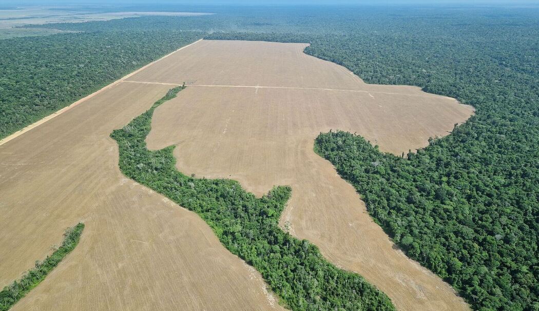 Für Sojaanbau gerodete Fläche im Amazonas-Regenwald