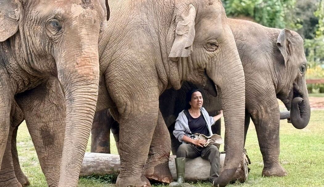 Elefantenflüsterin Saengduean «Lek» Chailert