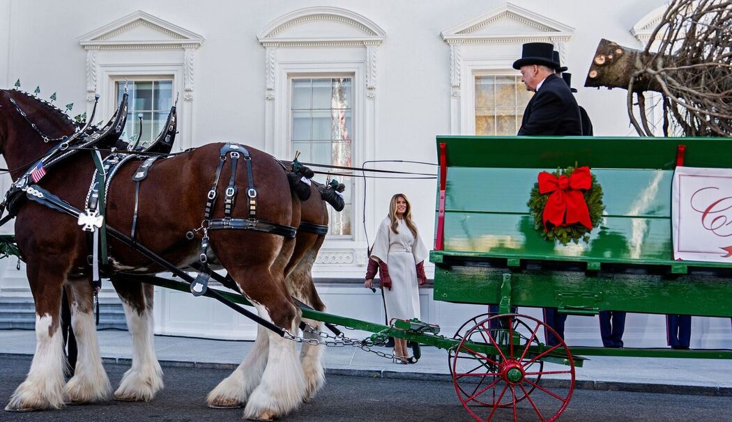 Ankunft des Weihnachtsbaums im Weißen Haus Ankunft des Weihnachtsbaums im Weißen Haus