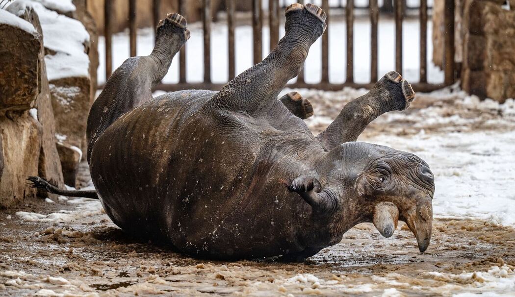 Wetter in Tschechien