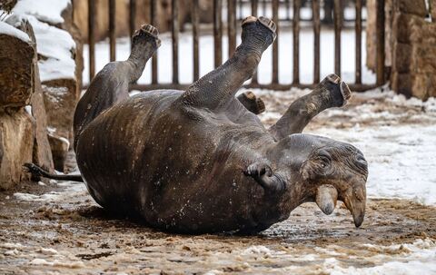 Wetter in Tschechien