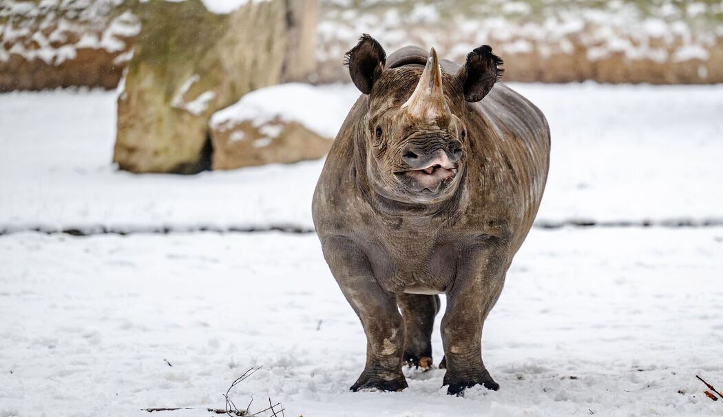 Wetter in Tschechien