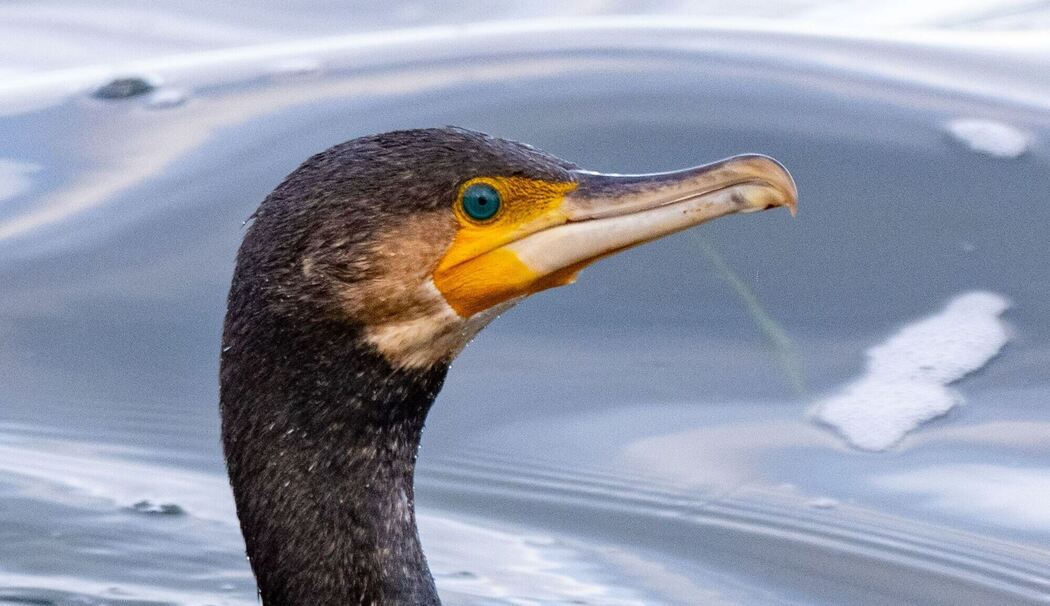 Hafen Stralsund Hafen Stralsund