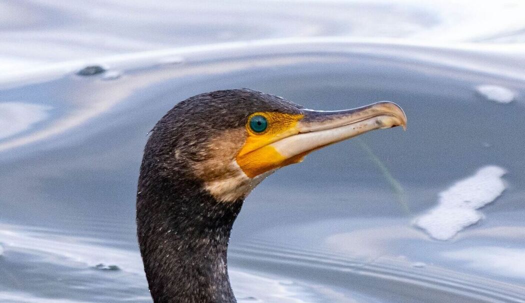 Hafen Stralsund Hafen Stralsund