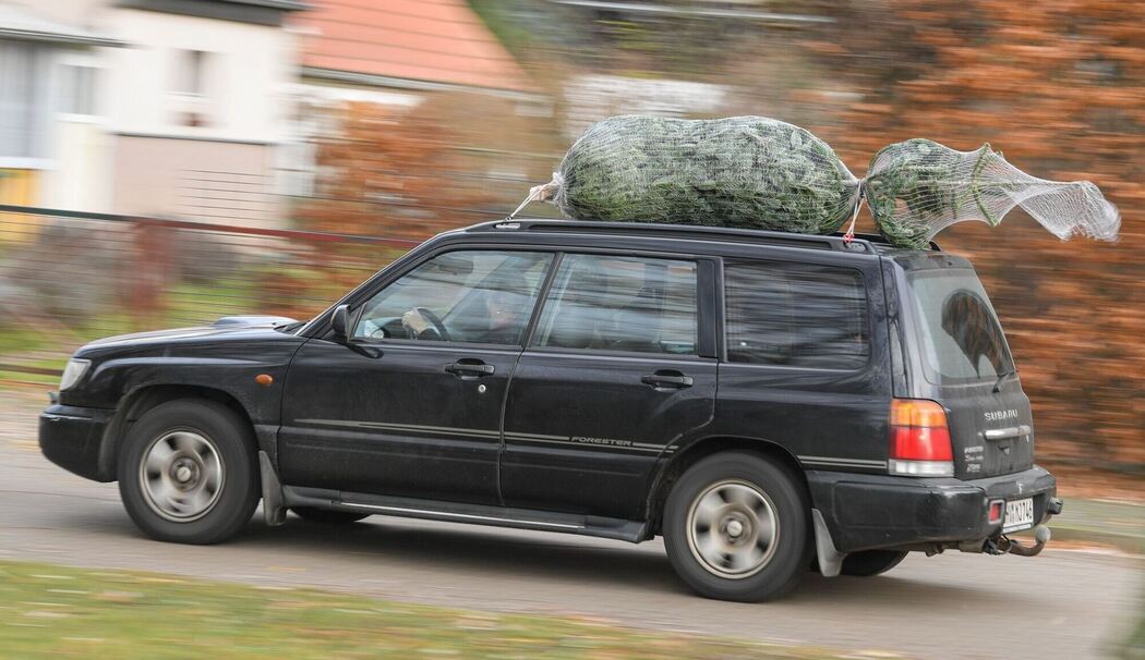 Auto transportiert einen Weihnachtsbaum auf dem Dach