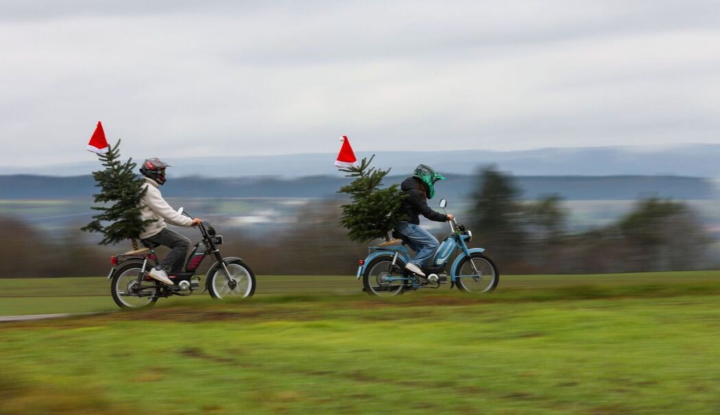 Zwei Mofafahrer mit einen Weihnachtsbaum