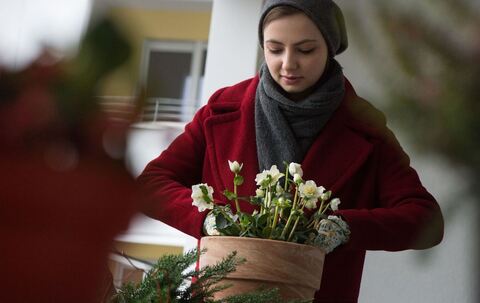 Frau pflanzt Christrosen in einen Topf auf ihrem Balkon