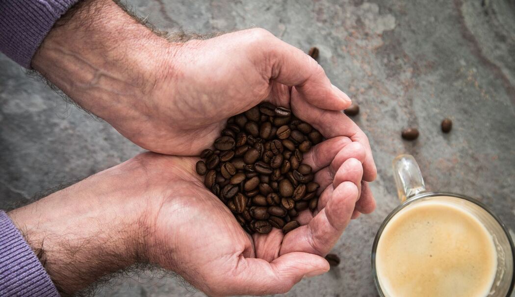 Ein Mann hält Kaffeebohnen in den Händen Ein Mann hält Kaffeebohnen in den Händen