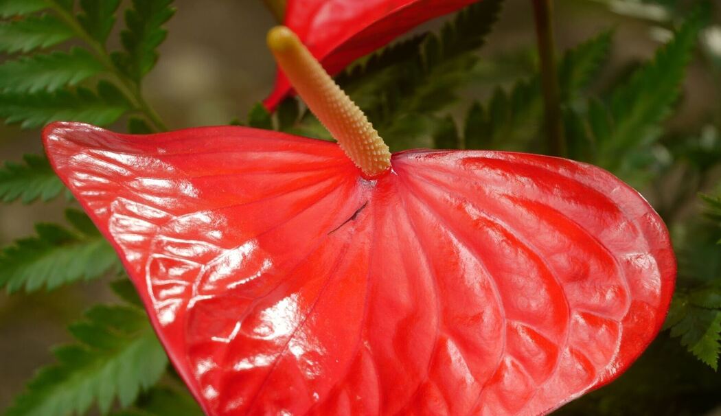Warum Naturfarben so selten Hochglanz haben