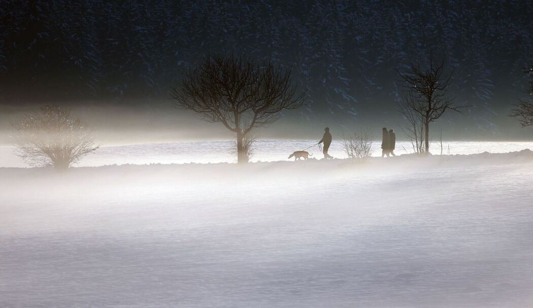 Abendliche Winterlandschaft