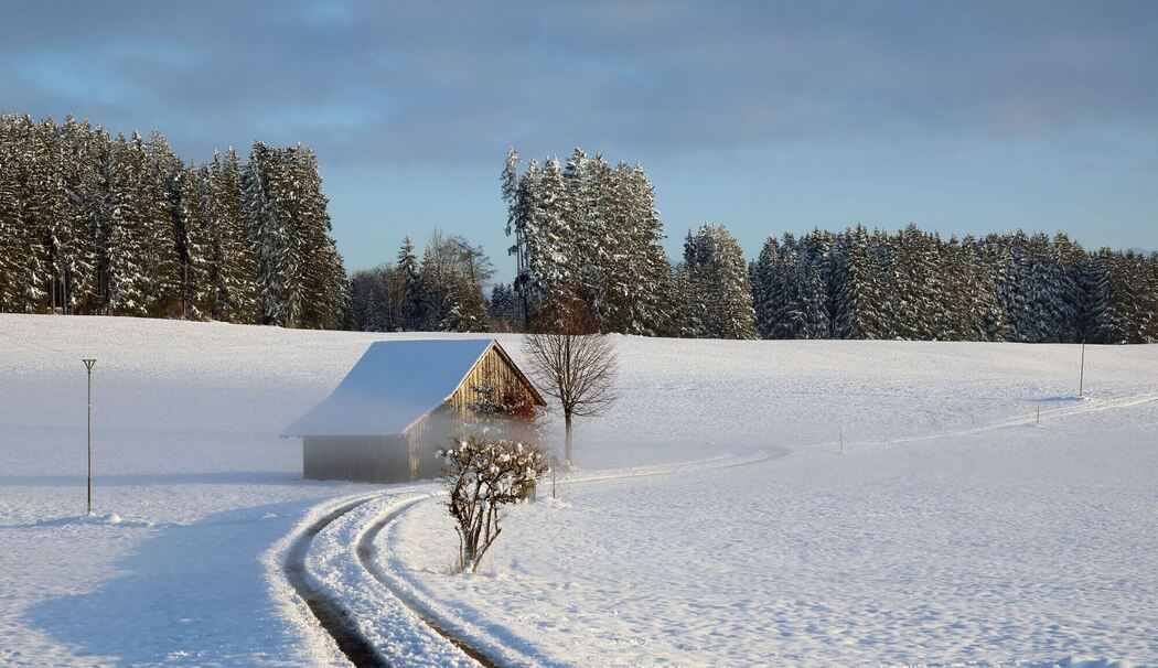 Abendliche Winterlandschaft