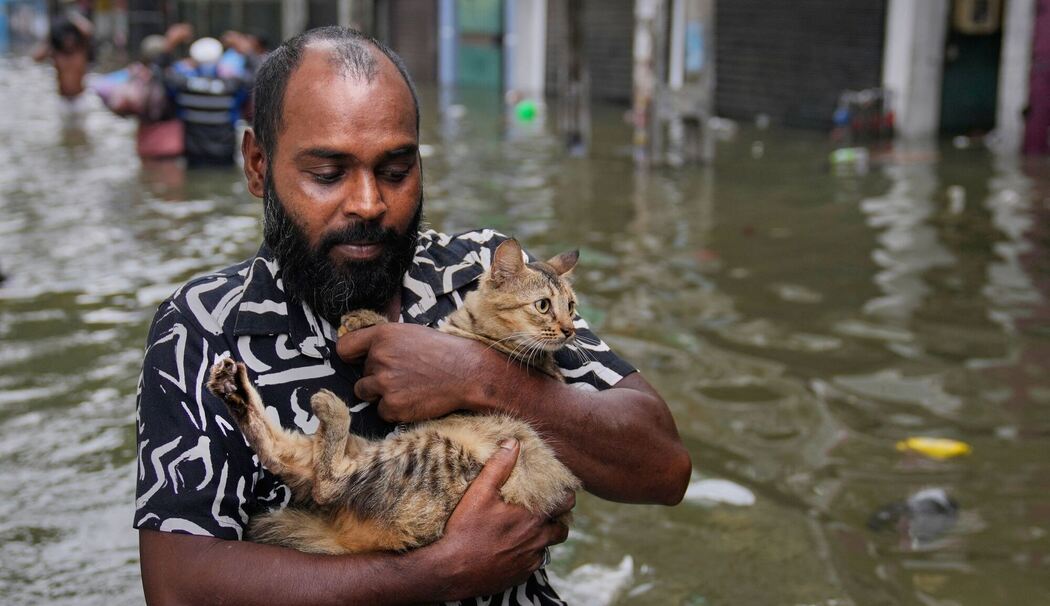 Überschwemmungen in Sri Lanka Überschwemmungen in Sri Lanka