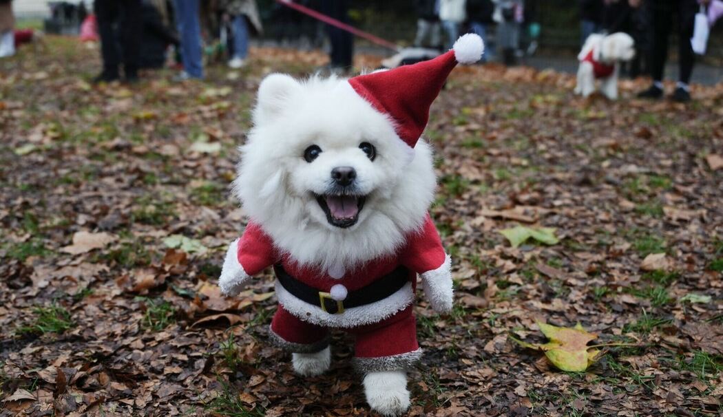 Weihnachtspulli-Parade in London Weihnachtspulli-Parade in London