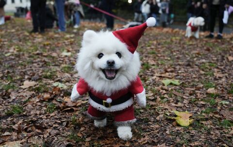 Weihnachtspulli-Parade in London