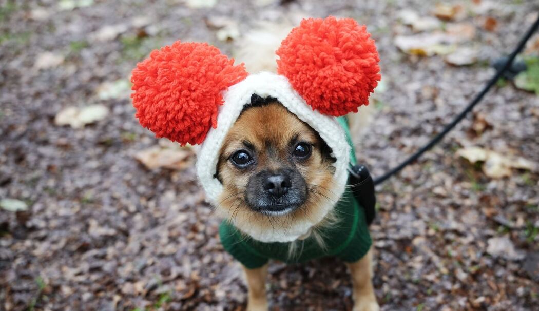 Weihnachtspulli-Parade in London Weihnachtspulli-Parade in London