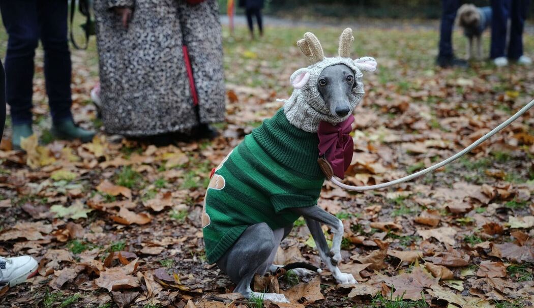 Weihnachtspulli-Parade in London Weihnachtspulli-Parade in London