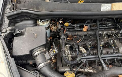 Katze aus Motorraum befreit