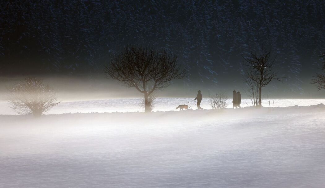 Abendliche Winterlandschaft