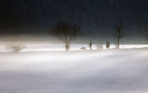 Abendliche Winterlandschaft